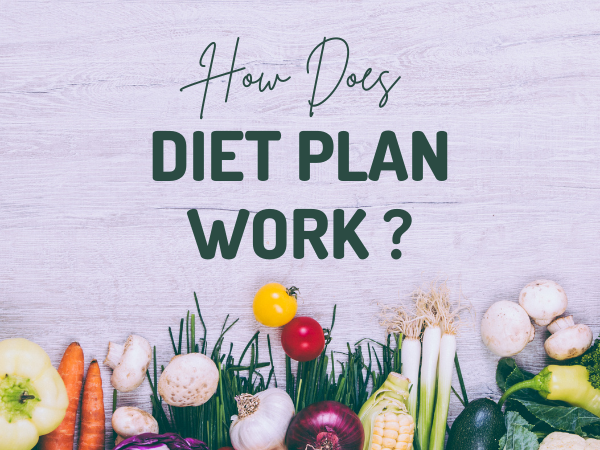 a image of How Does the Mayo Clinic Diet Plan Work?